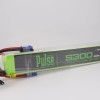 PULSE 5300mAh 50C 44.4V 12S P-Tech LiPo Battery - EC5 Connector